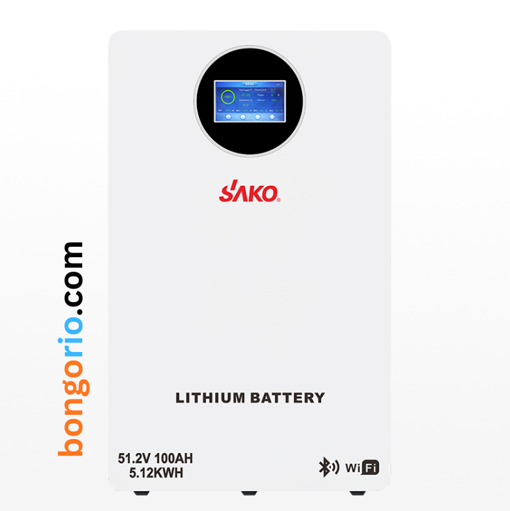 SAKO LI-SUN-51.2V 100AH  LiFePo4 Battery